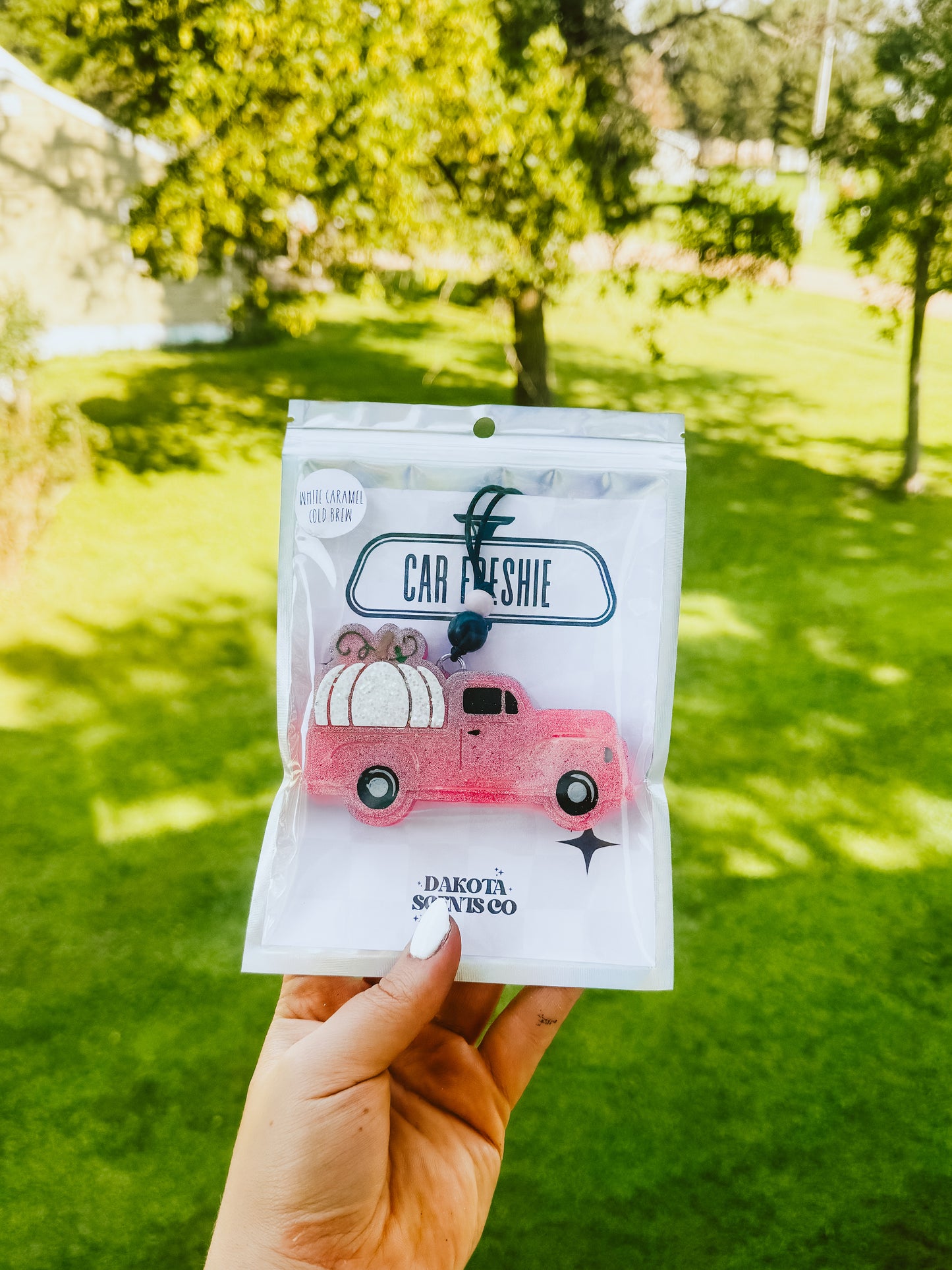 Pumpkin Truck Freshie