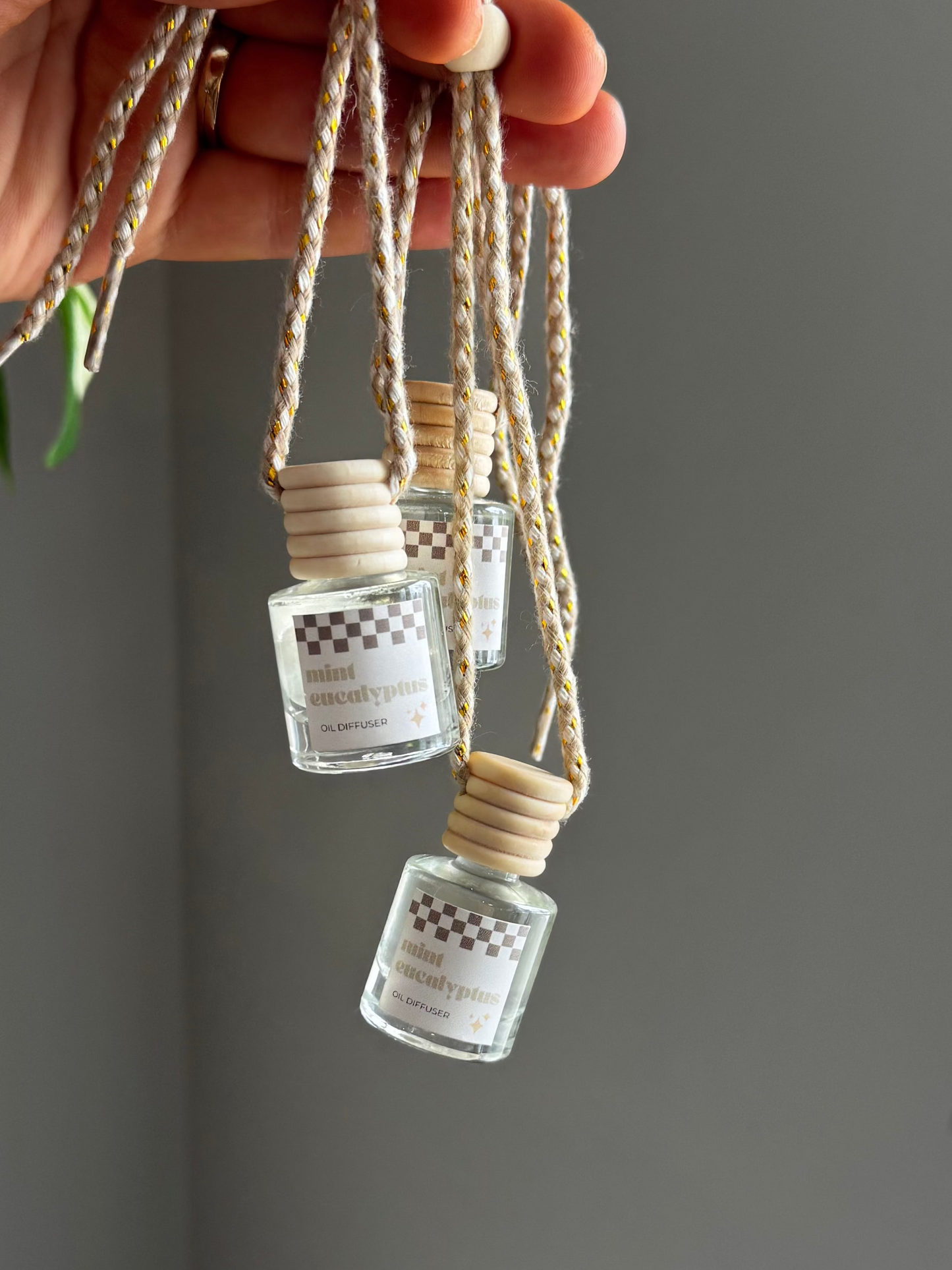 Mint Eucalyptus Car Diffuser